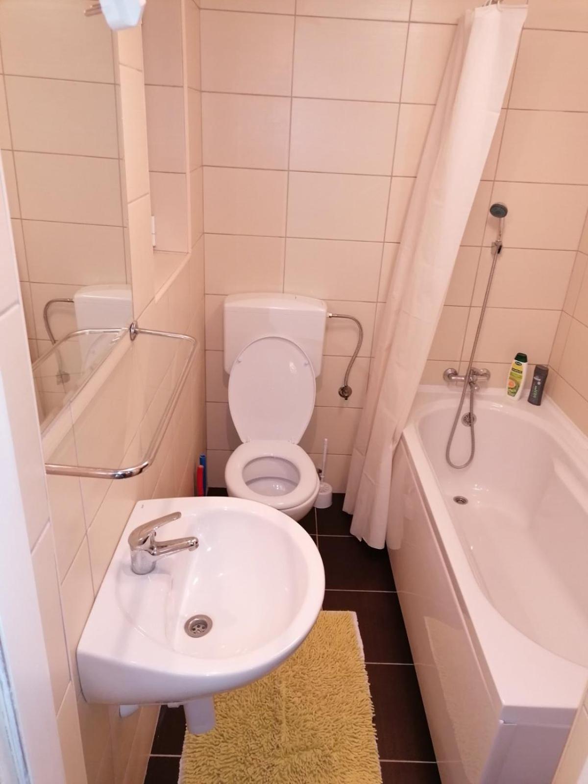 Apartment Milica *